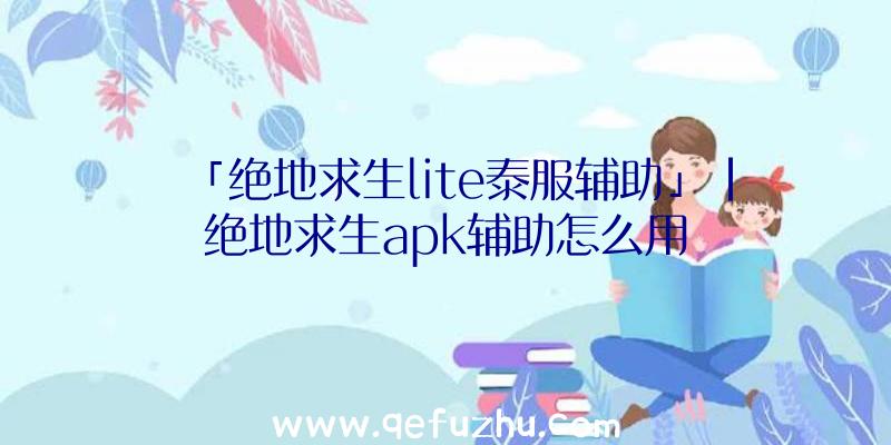 「绝地求生lite泰服辅助」|绝地求生apk辅助怎么用